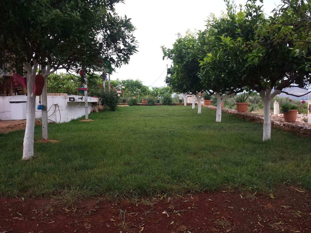 Vila Panorama Ksamil Buitenkant foto